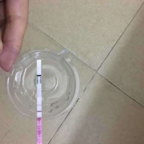 挑战!梁平代妈招聘网"花信年华"