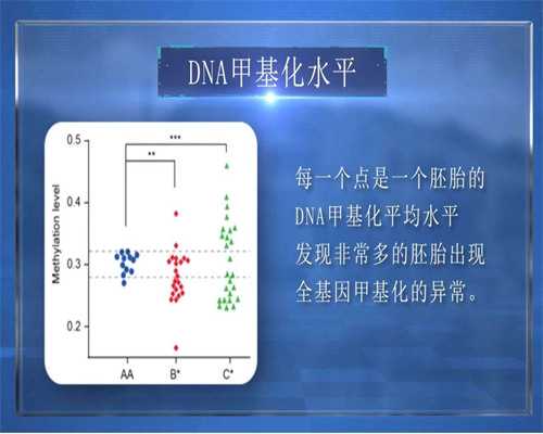 先肚子疼还是先排卵?