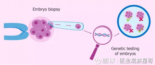 2026
武汉市试管代怀生子机构排名，附试管助孕机构名单！-代怀网哪家好