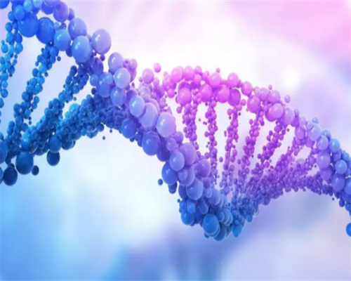 代怀孕免费咨询_哪里代怀比较好,广西供卵代怀生子需要多少钱?附2026
广西试管