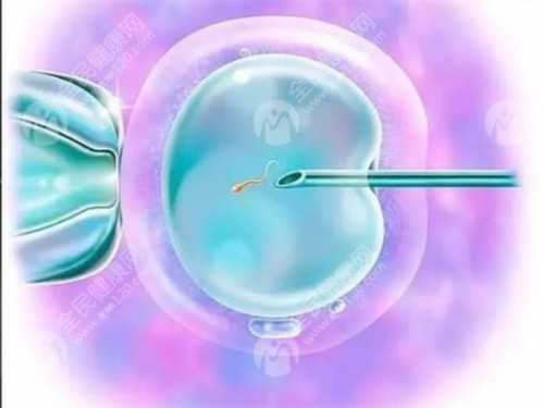 广州供卵试管代怀生子医院排名，附供卵生男孩费用一览！_哪可以代怀