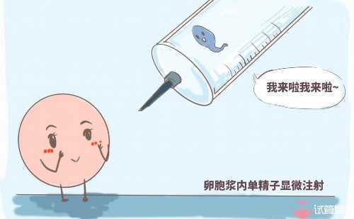 厦门174试管婴儿一次成功多吗？40岁的成功率有多少？