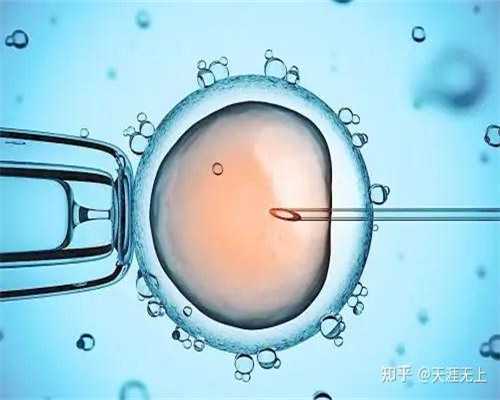 孙丽华:上海东方医院做试管婴儿成功率要看夫妻俩