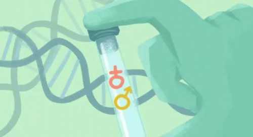 2026南昌供卵试管婴儿医院排名，附供卵试管成功率及费用一览