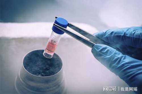 卵泡不破试管的成功率有多少？