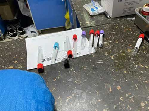 广州供卵试管代怀生子医院排名，附供卵生男孩费用一览！_代怀龙凤胎